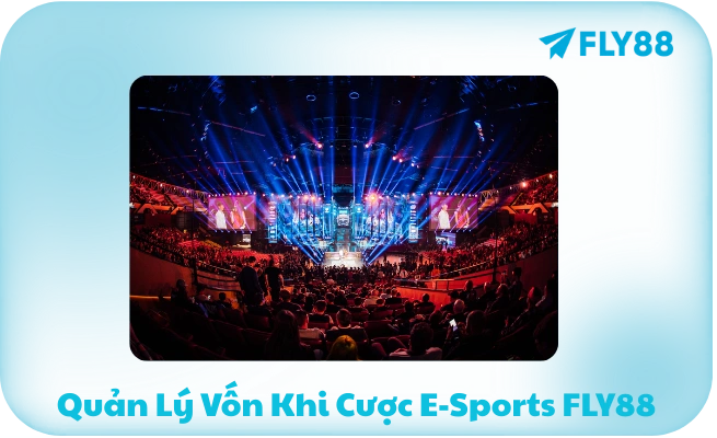 Quản Lý Vốn Khi Cược E-Sports FLY88