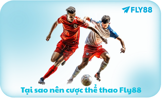 Tại sao nên cược thể thao Fly88