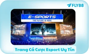 Trang Cá Cược Esport Uy Tín