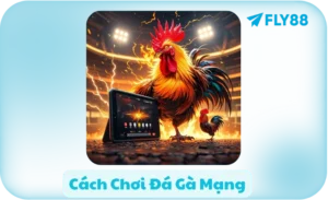 cách chơi đá gà mạng